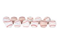 A Group of 12 Pro Football Hall of Fame Signed Autograph Baseballs (Beckett Authentication Services BAS Certified),