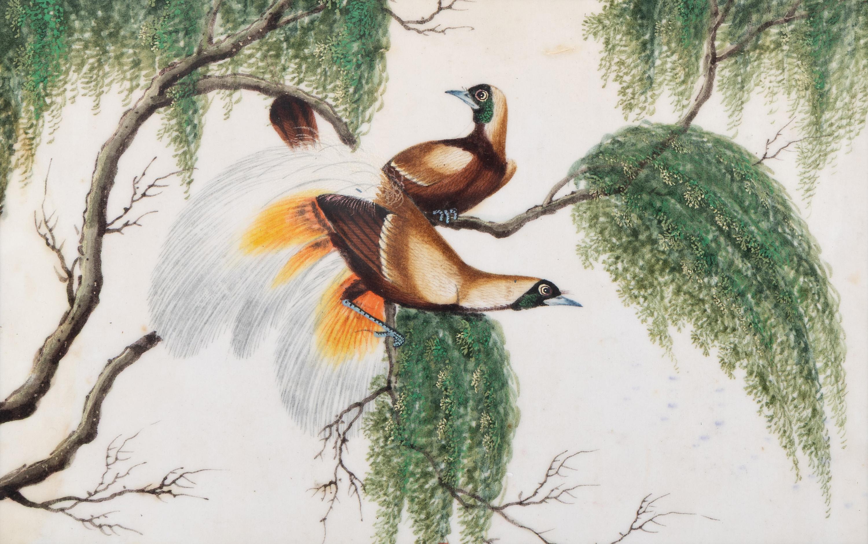A Set of Twelve Chinese Export Watercolor and Pith Paintings