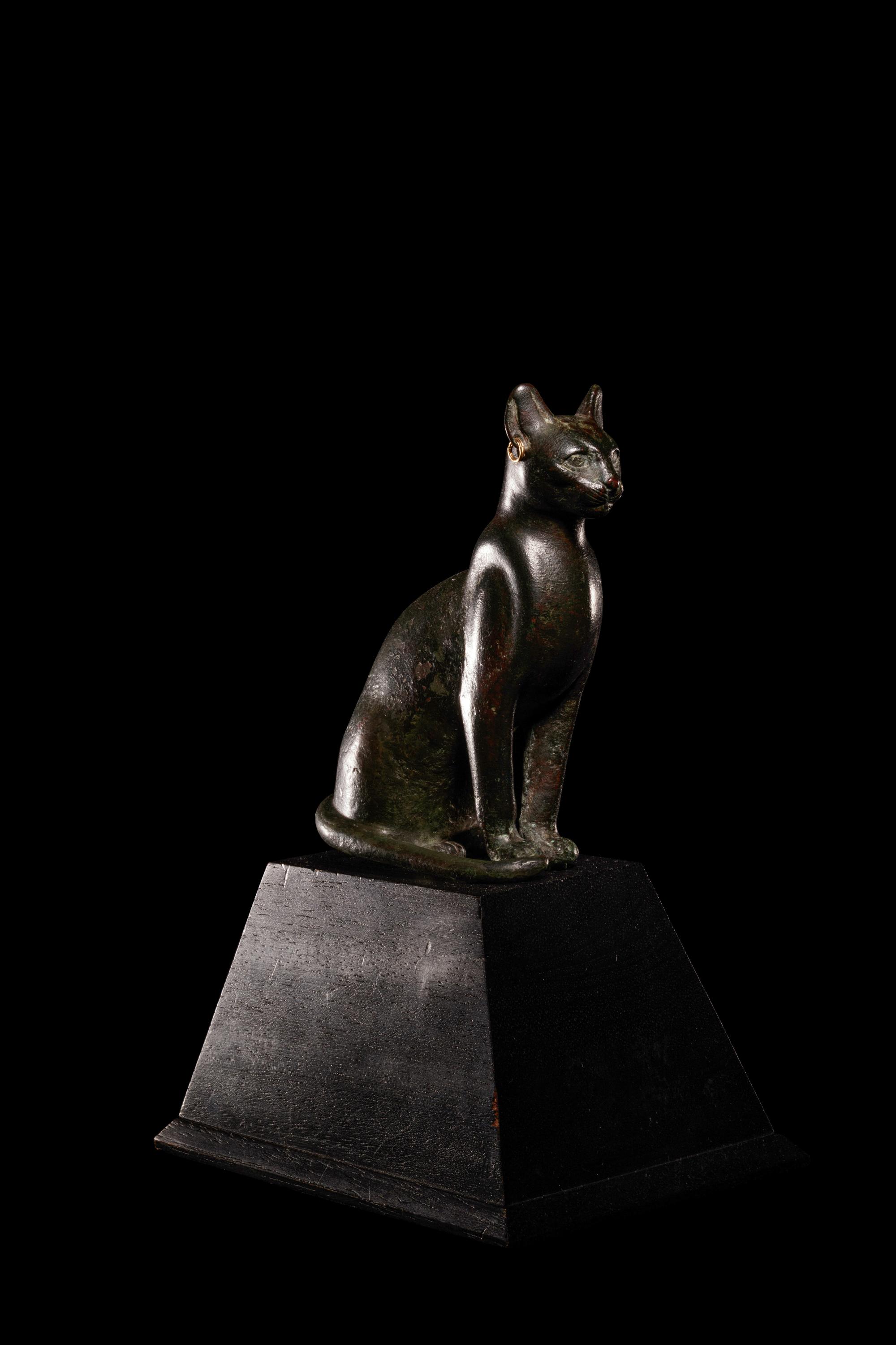 An Egyptian Bronze Cat