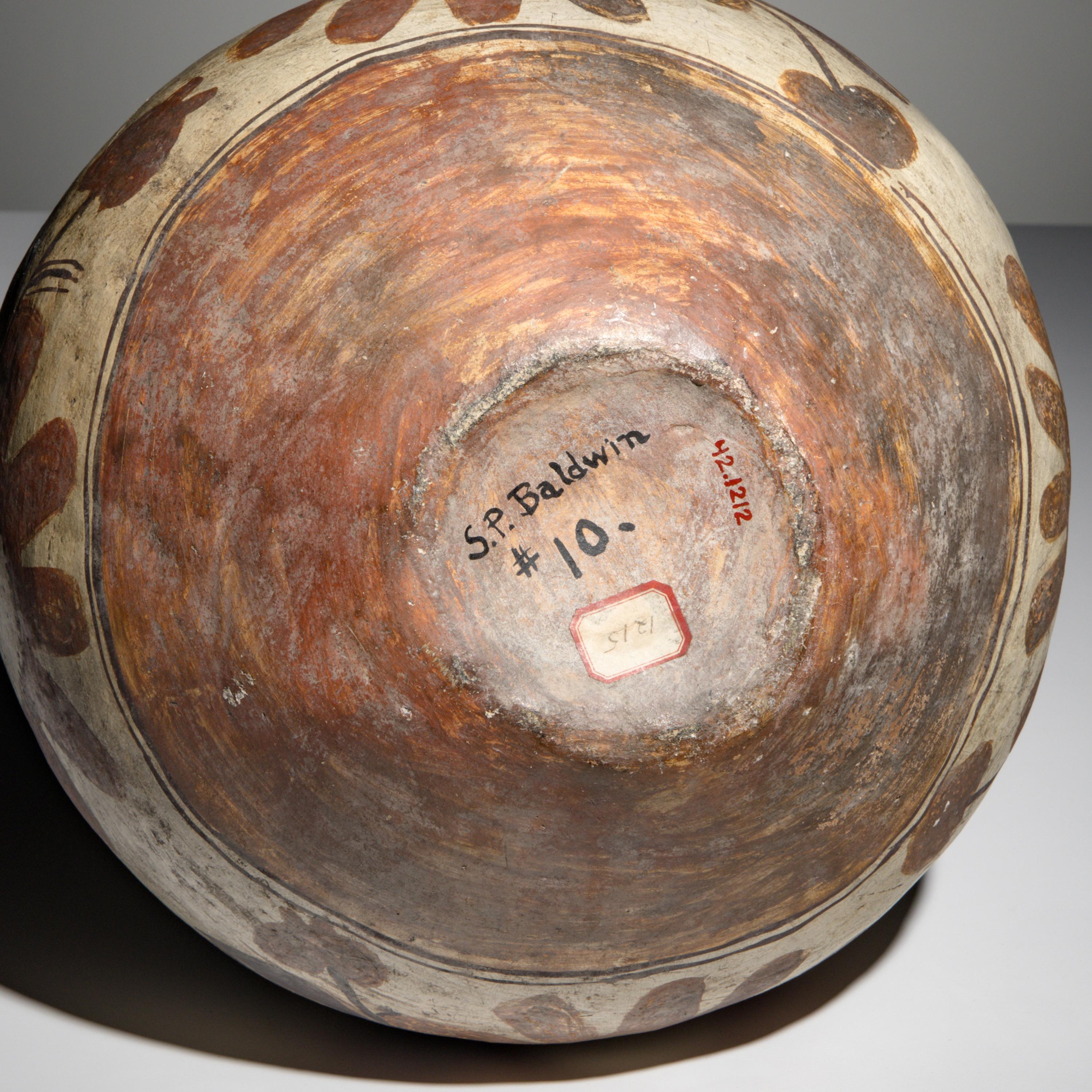 Zia Polychrome Pottery Olla