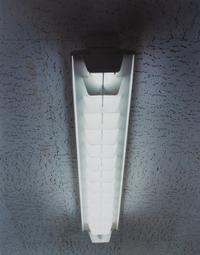 Untitled (Fluorescent Light)