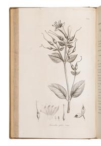 [Natural History] Smith, Sir James Edward. Plantarum Icones Hactenus Ineditae