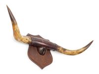 Three Decorative Horn and Antler Mounts
