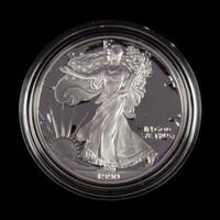 A Collection of Twenty-Six Silver Eagle $1 Proofs