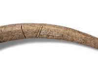 Alaskan Eskimo Tools