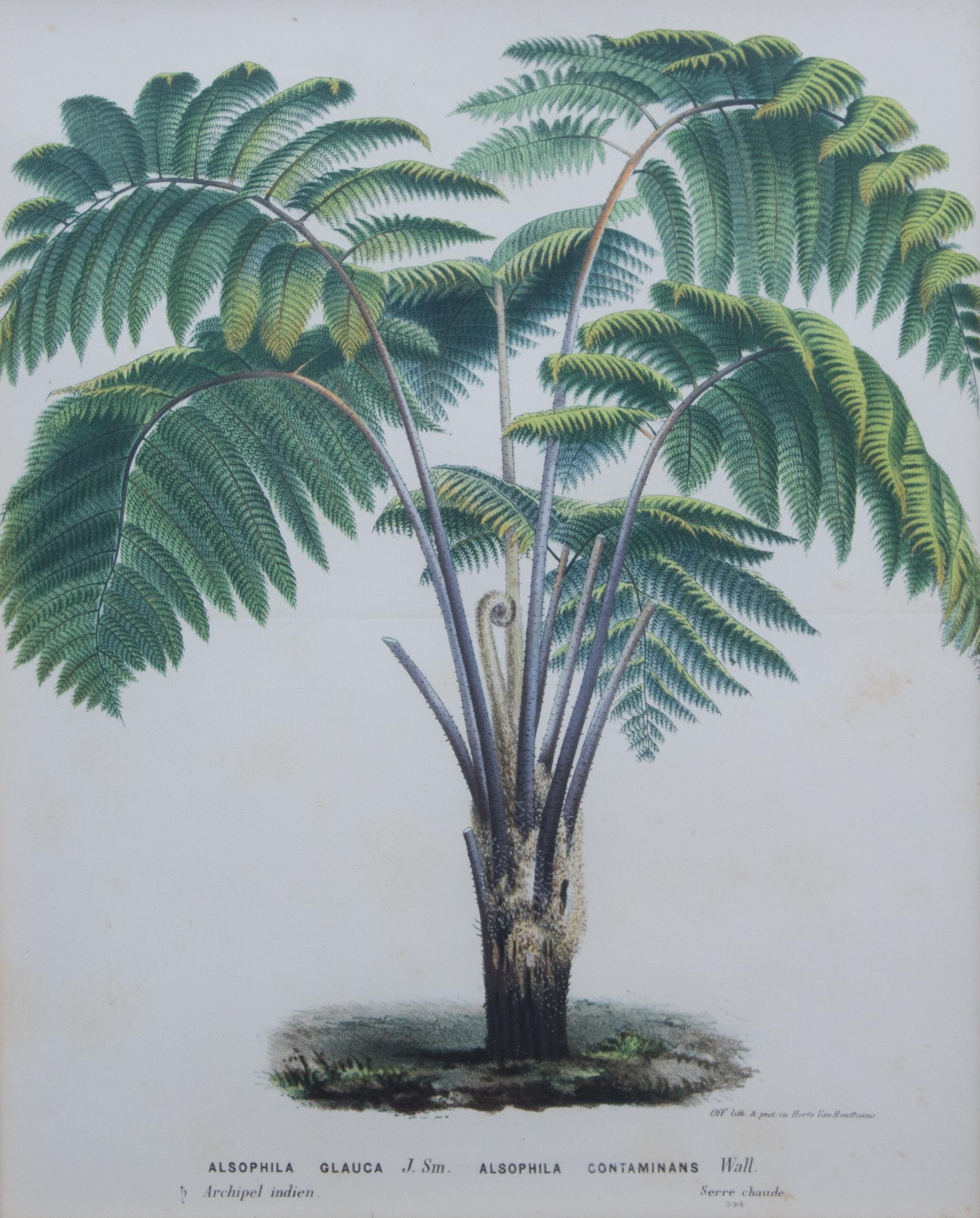 A Collection of Six Chromolithographs Largest 11 1/2 x 9 1/4 inches.