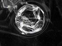 A Collection of Lalique Tuileries Stemware