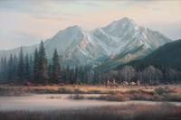 Rocky Mountain Wilderness