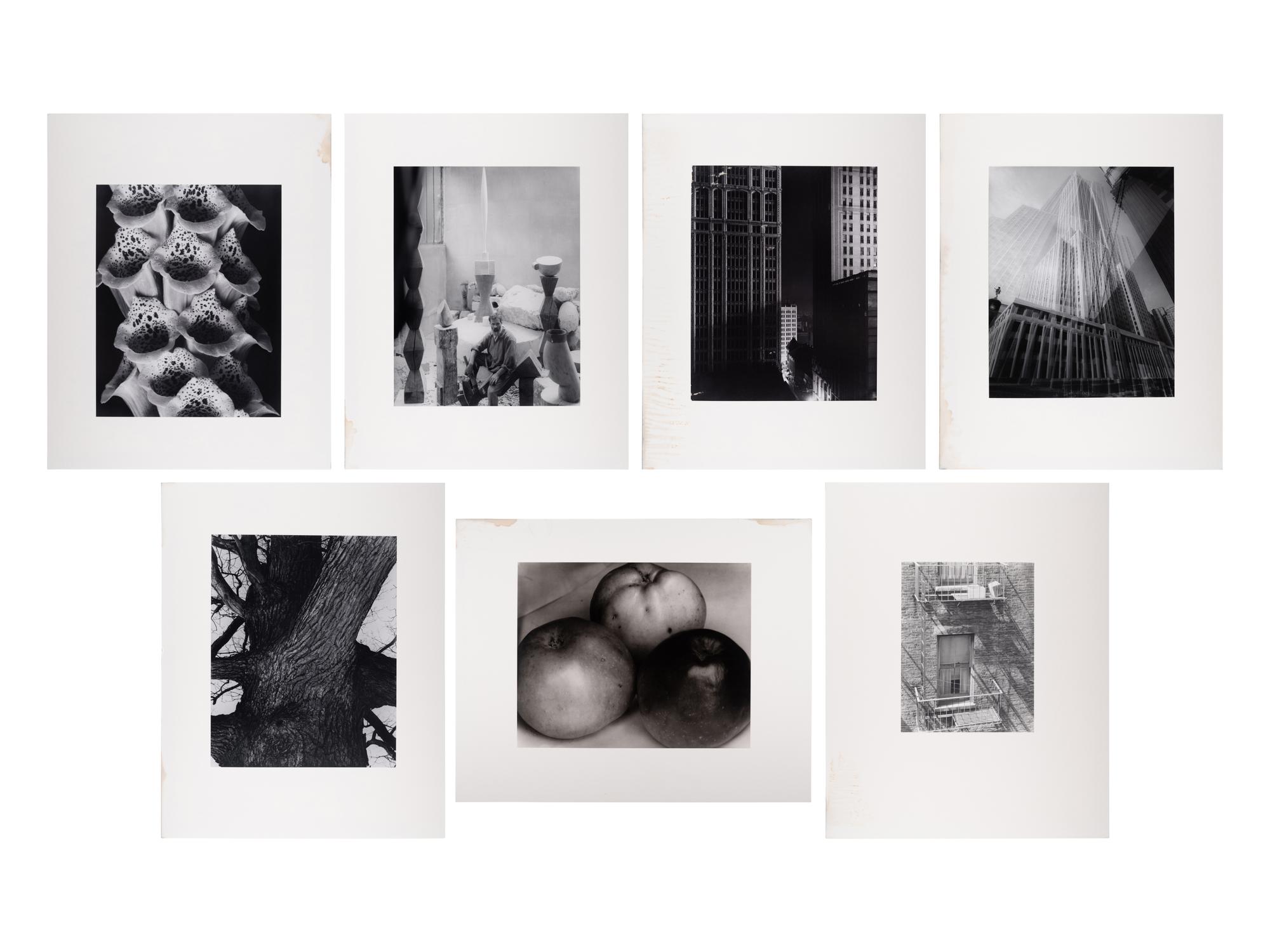 A group of twenty-one photographs (from Twenty-five Photographs printed by George Tice with labels signed by George Tice and Joanna Steichen)