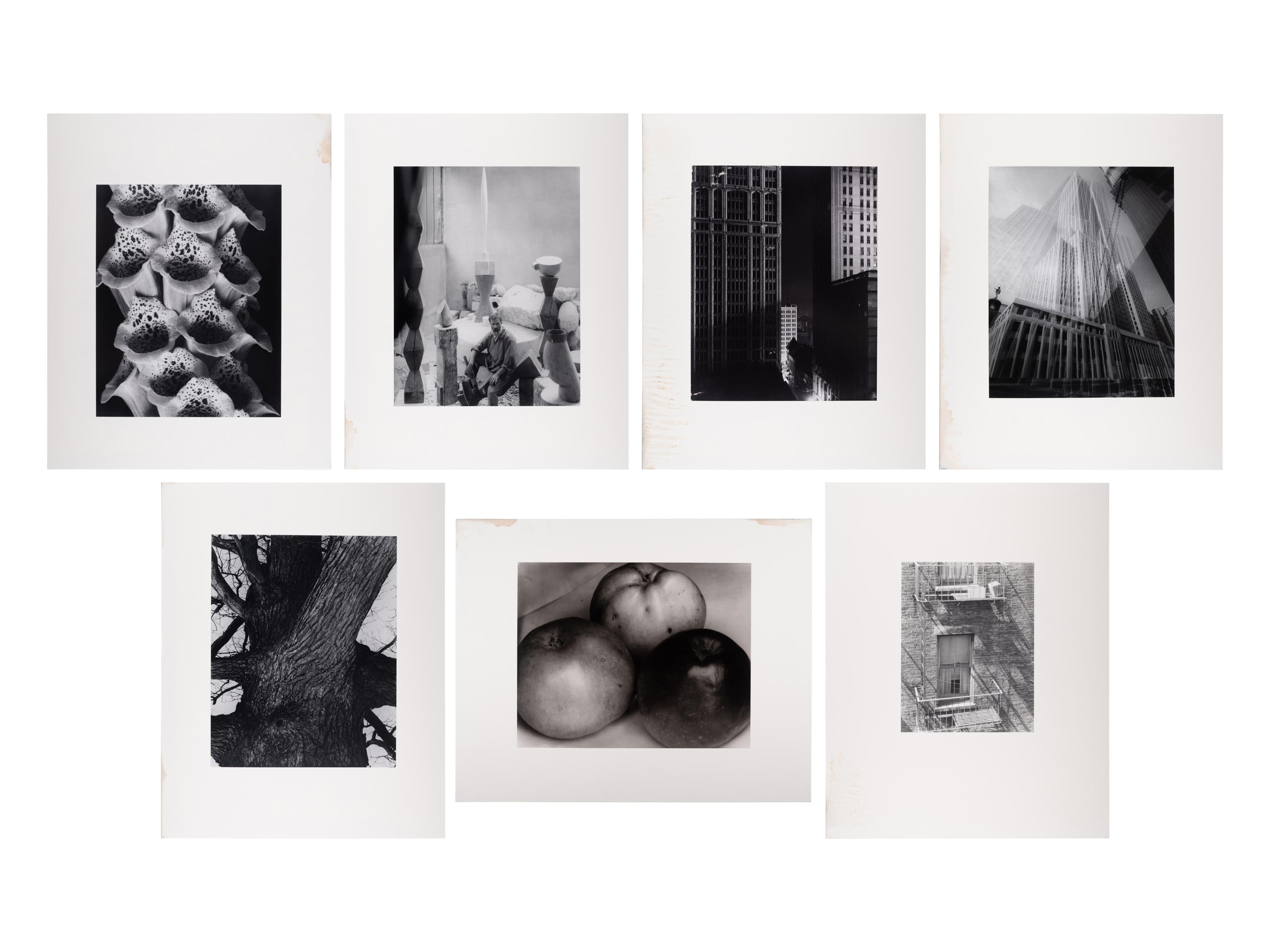 A group of twenty-one photographs (from Twenty-five Photographs printed by George Tice with labels signed by George Tice and Joanna Steichen)