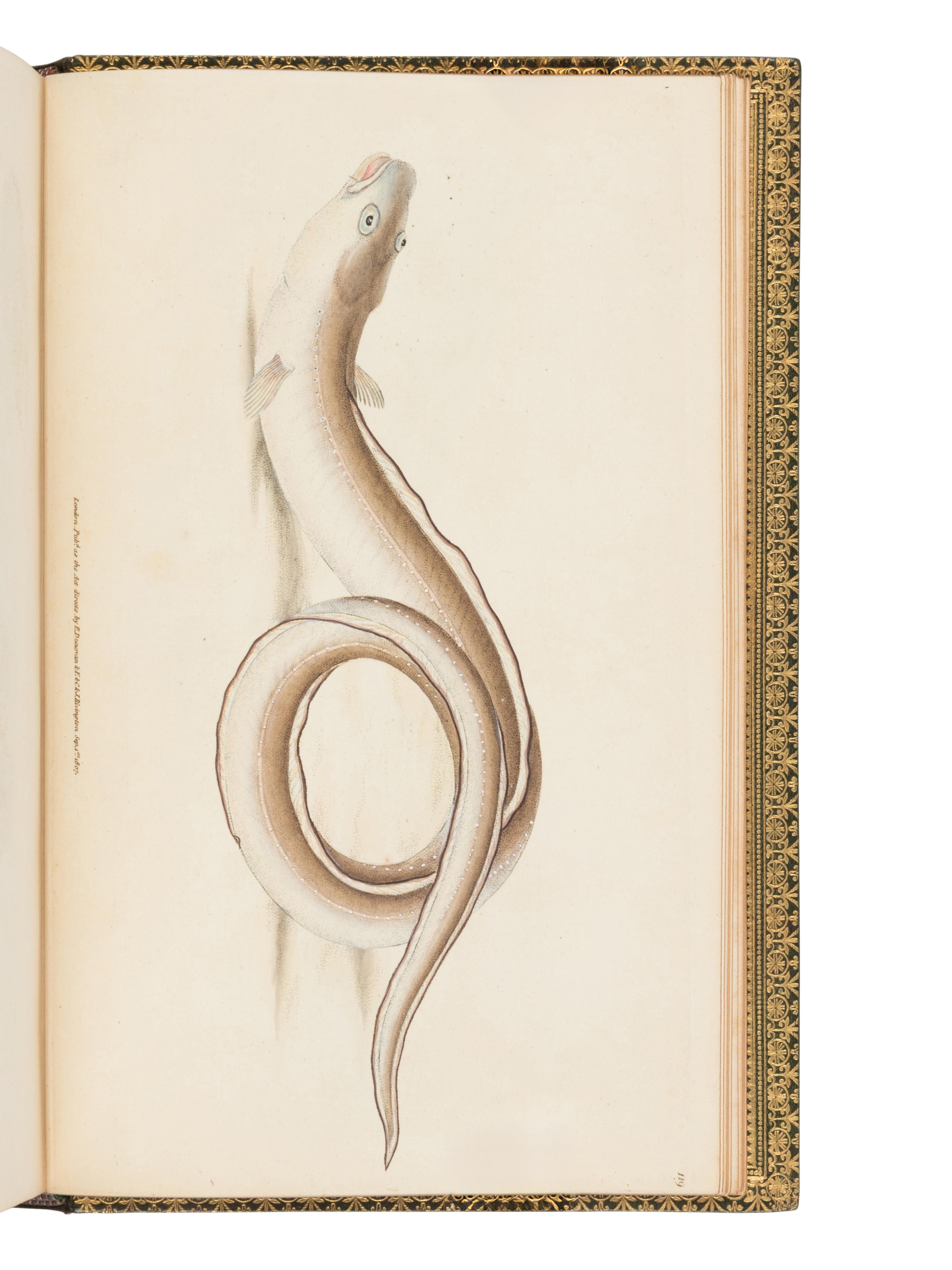 WALTON, Izaak (1593-1683) and Charles COTTON (1630-1687). The Complete Angler, or The Contemplative Man's Recreation . John Major, editor. London: D. Bogue and H. Wix, 1844.