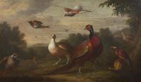 Birds in a Landscape