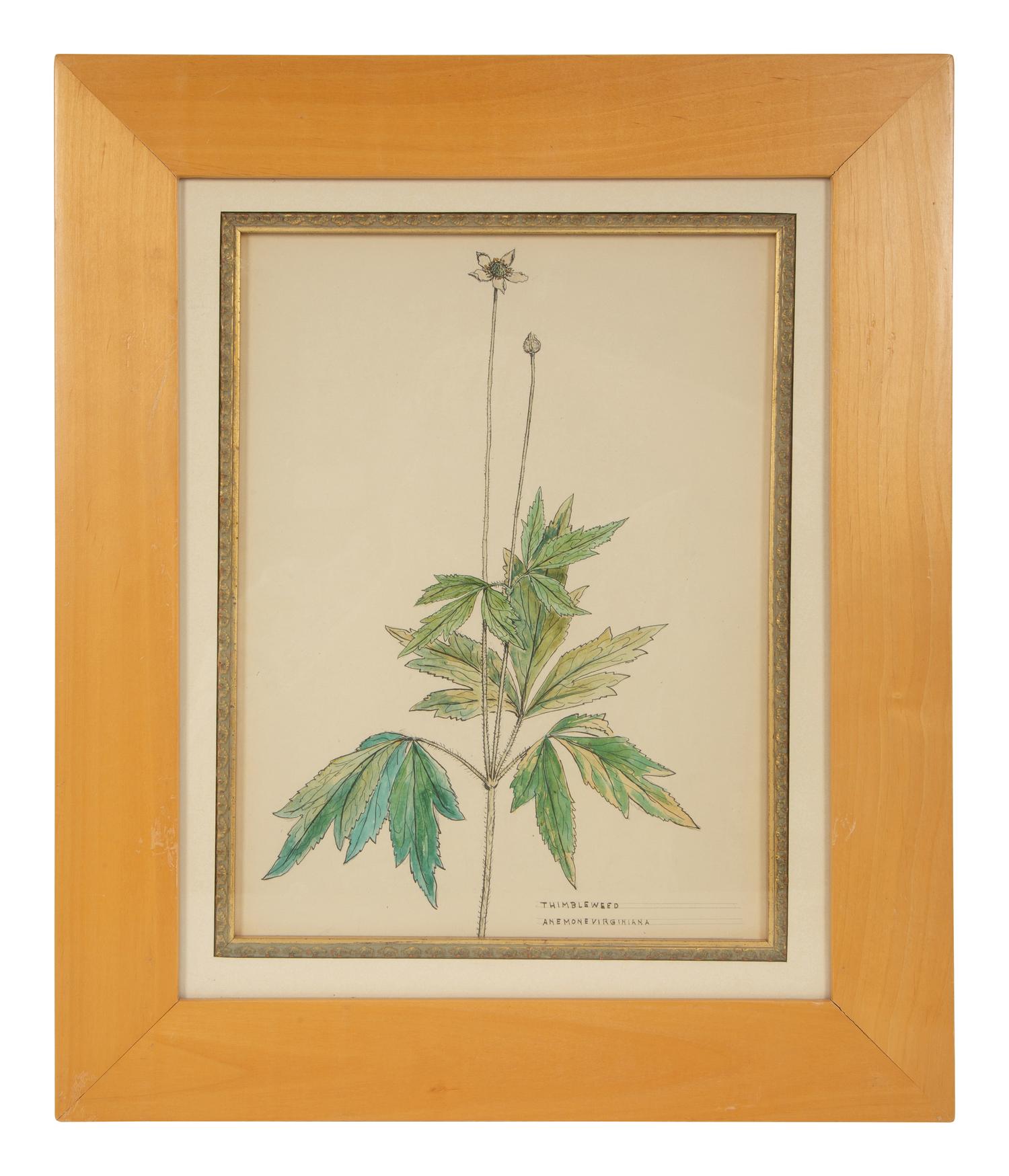 Eighteen Botanical Watercolors