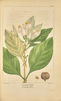 [Natural History] Michaux, F(rancois). Andrew. The North American Sylva, or A Description of the Forest Trees of the United States, Canada and Nova Scotia...