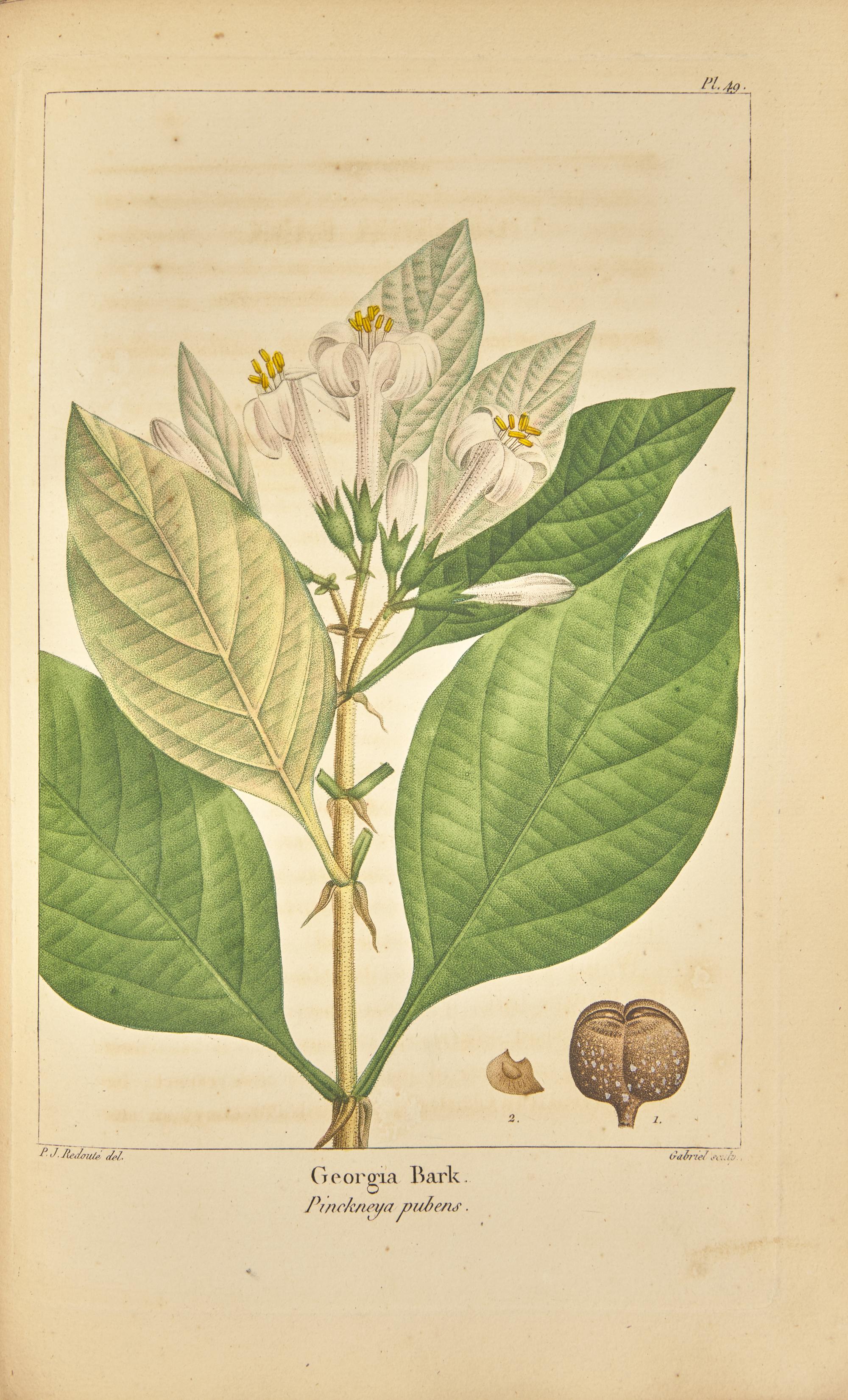 [Natural History] Michaux, F(rancois). Andrew. The North American Sylva, or A Description of the Forest Trees of the United States, Canada and Nova Scotia...