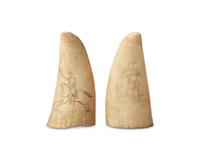 Two Small Scrimshaw Whale Teeth