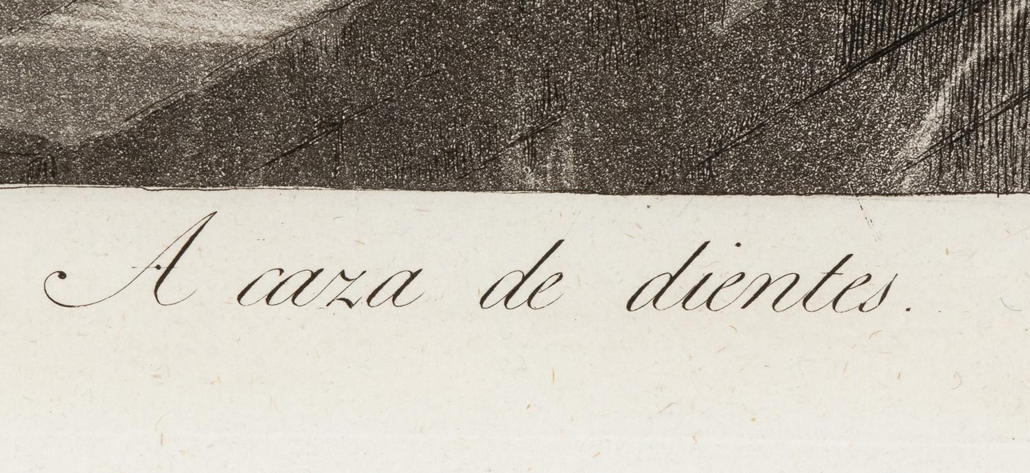 A caza de dientes (Hunting for teeth) , 1799
