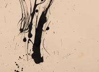 Untitled #19