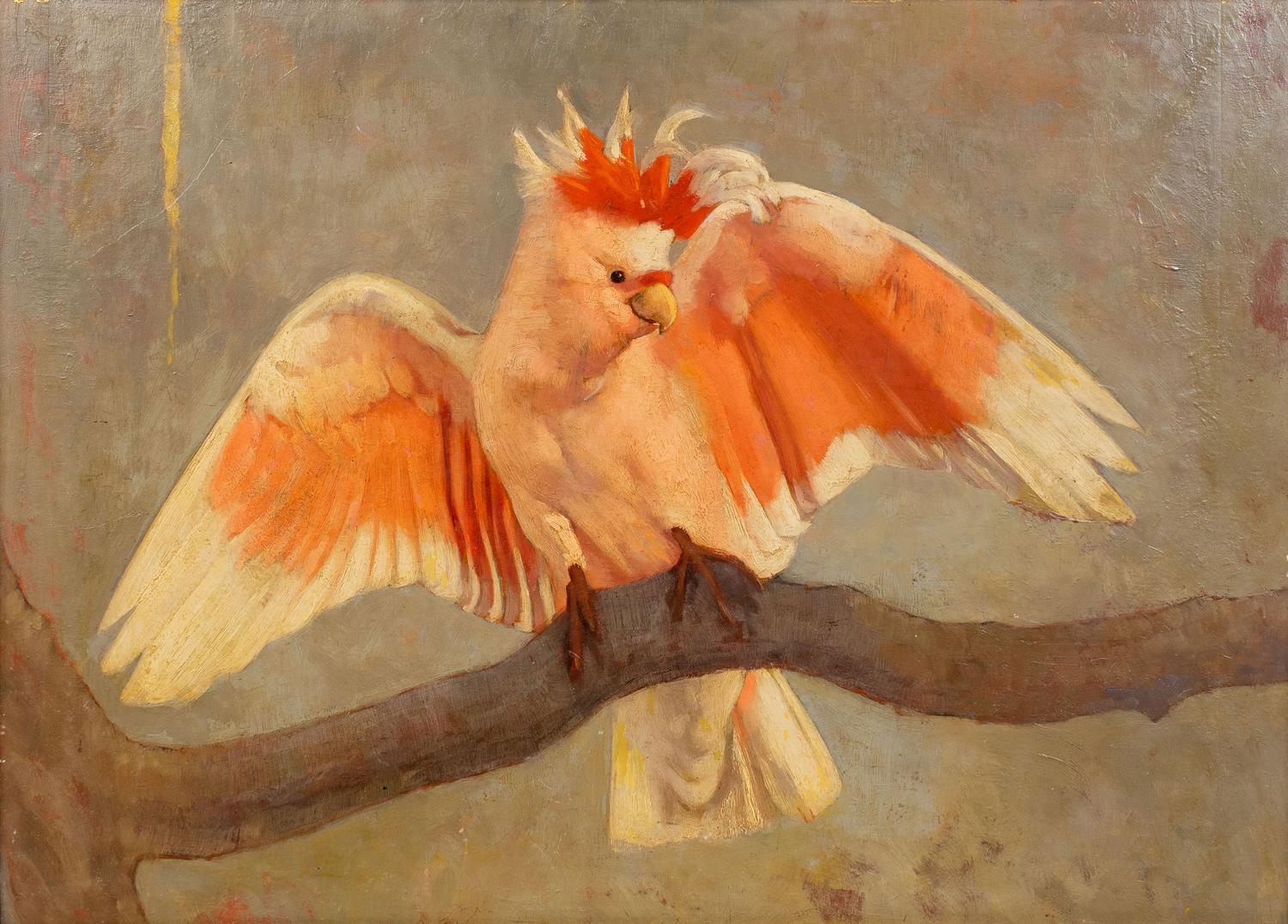 Cockatoo