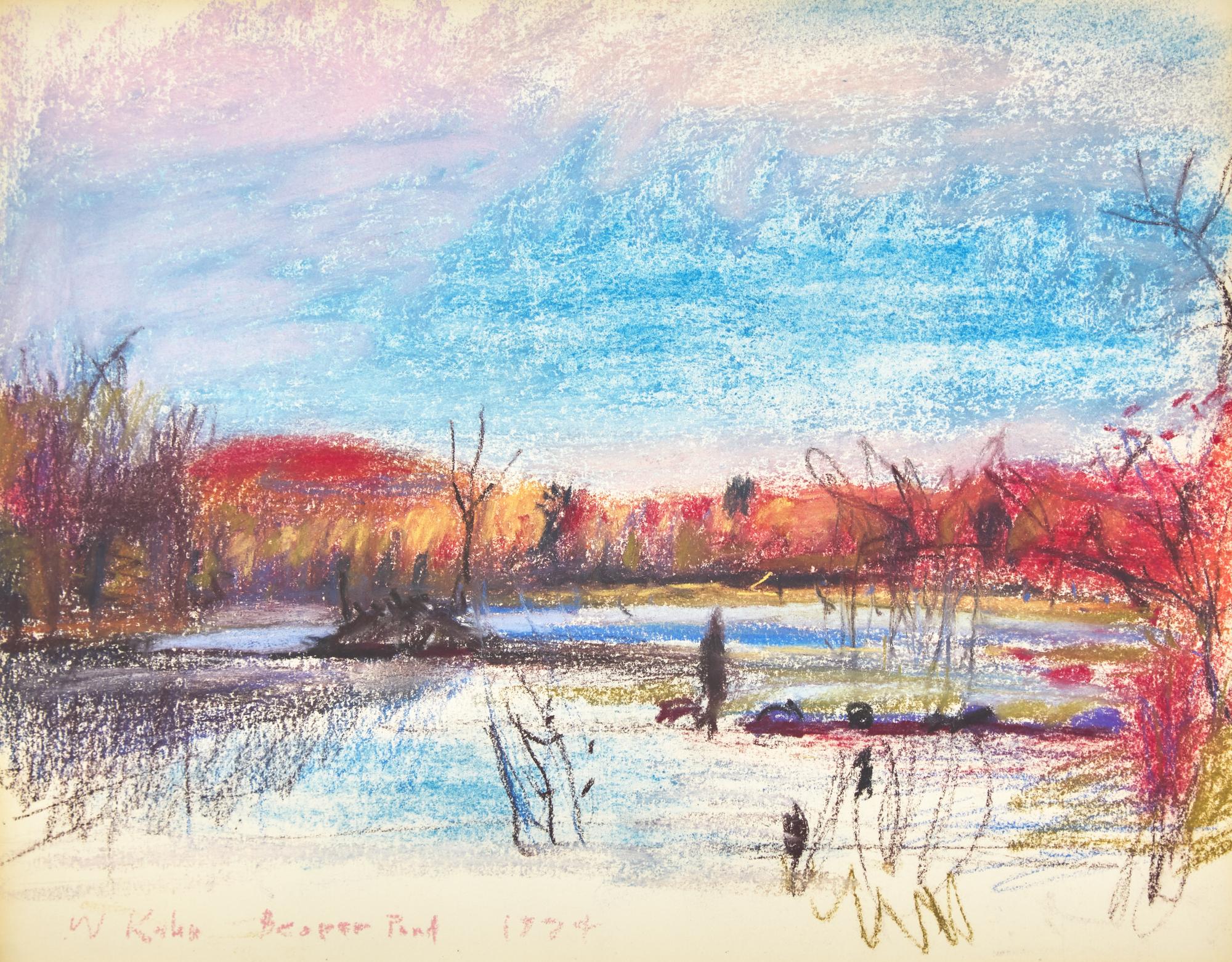 Beaver Pond , 1974