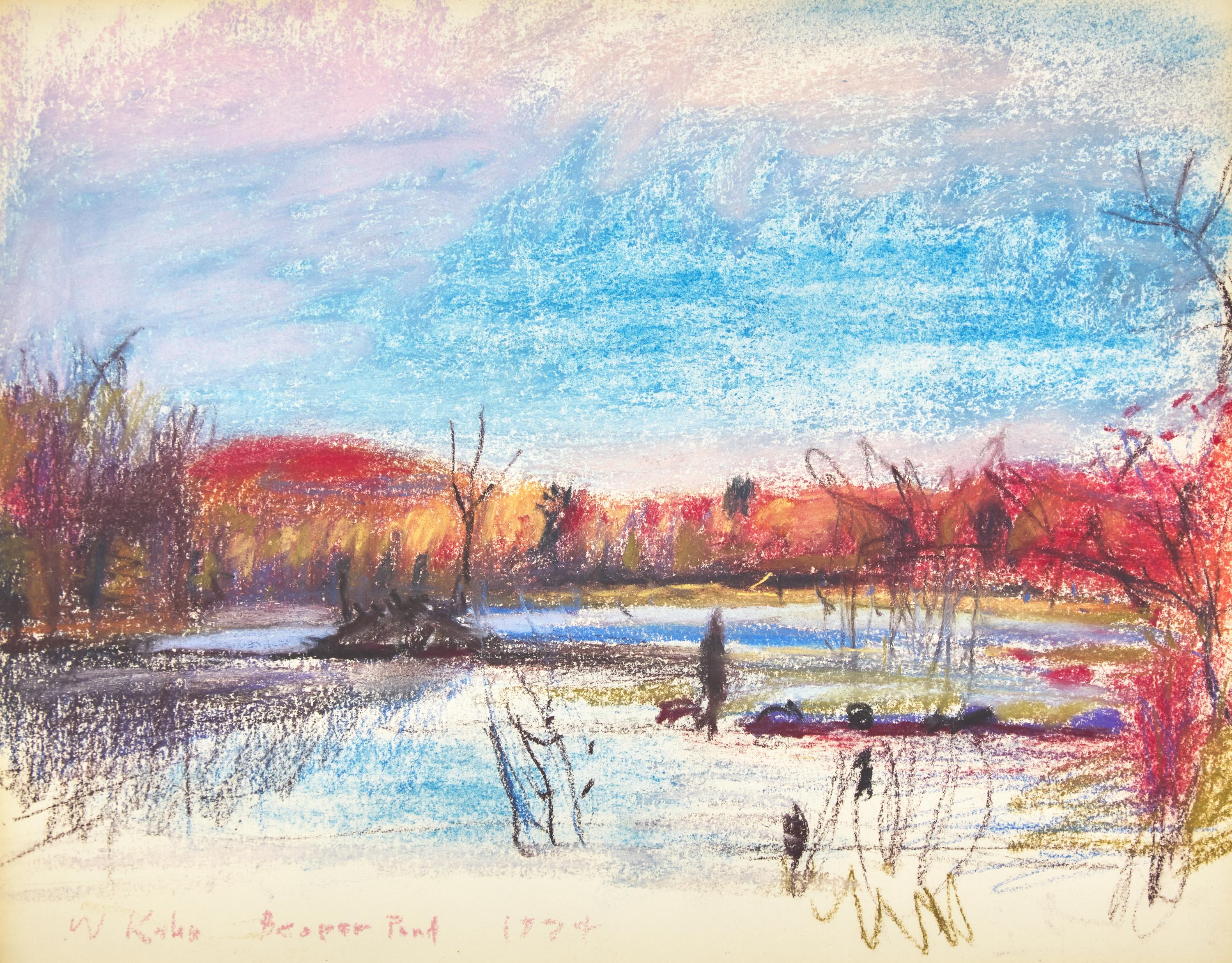 Beaver Pond , 1974