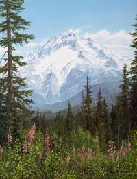 Mt. Hood