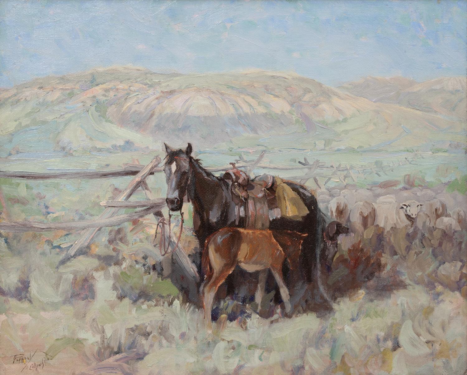 Waiting - North Park, Colorado
