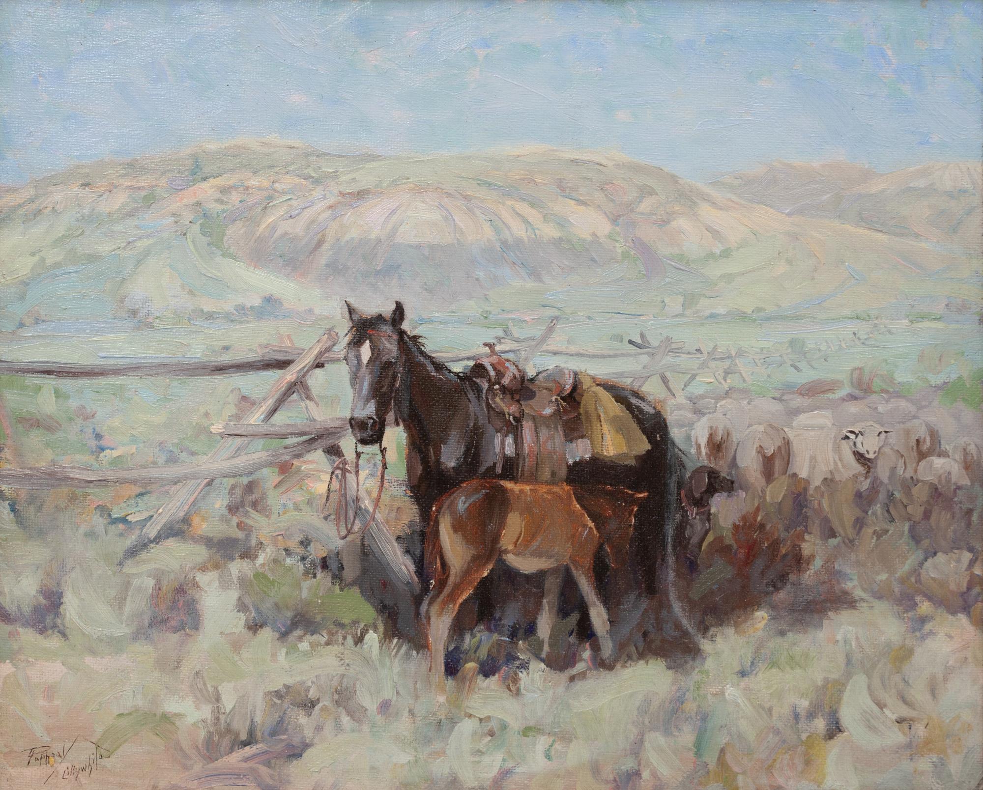 Waiting - North Park, Colorado