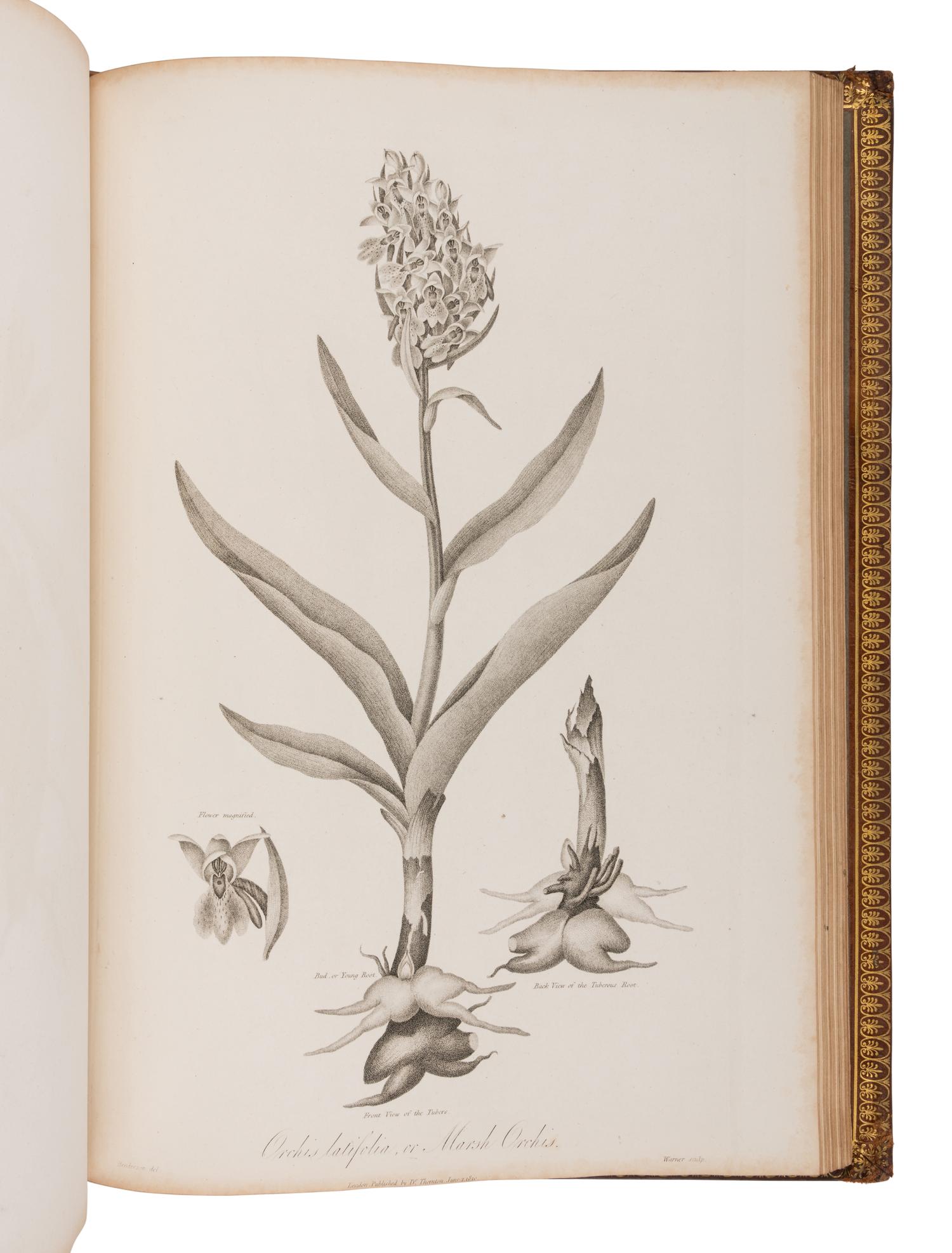 THORNTON, Robert John (1768-1837). The Philosophy of Botany . London: T. Bensley for the publishers, White, Johnson and Co. ...and the author, [1799]-1810.