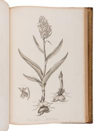 THORNTON, Robert John (1768-1837). The Philosophy of Botany . London: T. Bensley for the publishers, White, Johnson and Co. ...and the author, [1799]-1810.