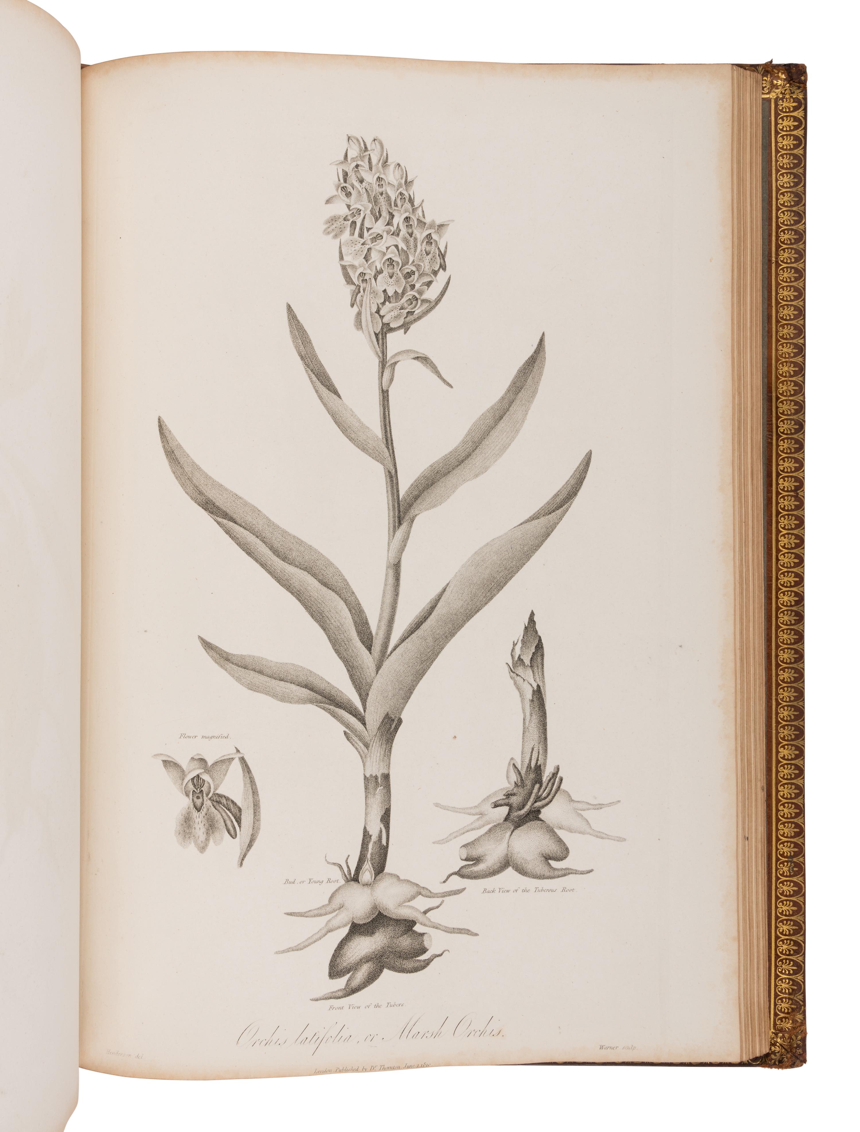 THORNTON, Robert John (1768-1837). The Philosophy of Botany . London: T. Bensley for the publishers, White, Johnson and Co. ...and the author, [1799]-1810.