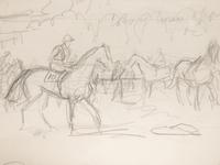 Study with Racehorses