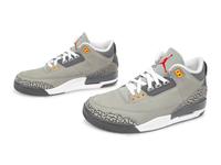 Jordan 3 Retro Cool Grey 2021 (DS)