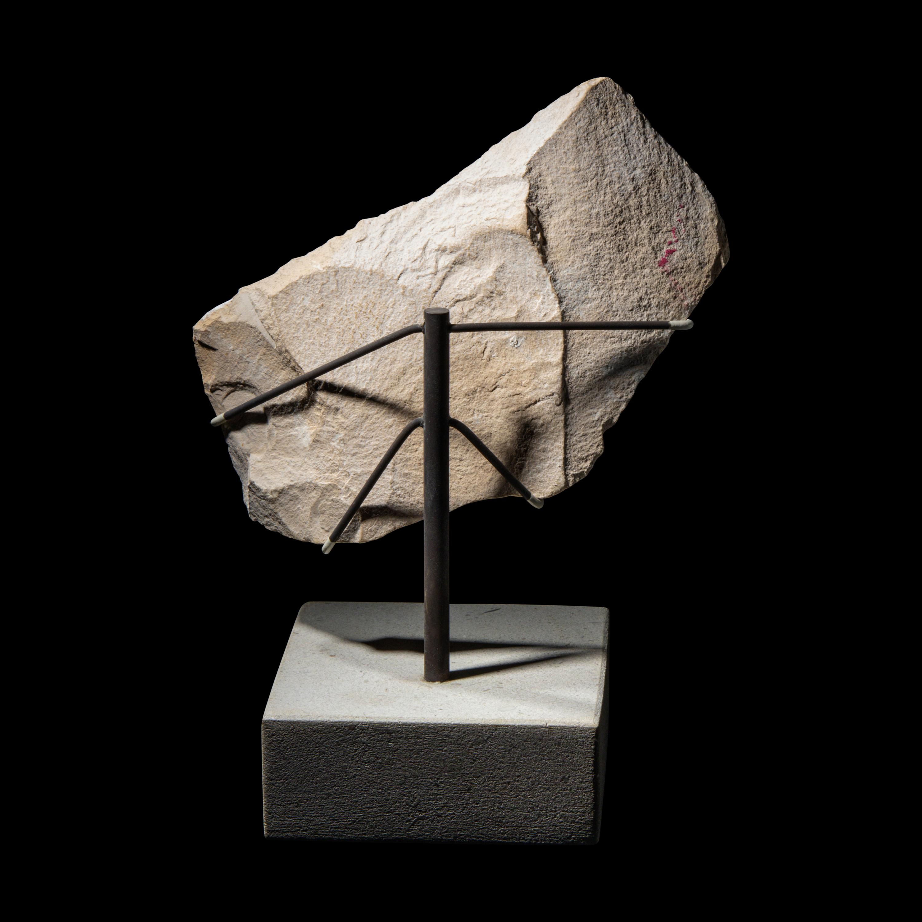 An Egyptian Limestone Relief Fragment with a Pharaoh