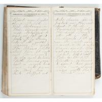 Civil War Diaries of Jared P. Hubbard, 2nd New Hampshire Volunteers