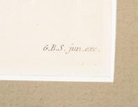 Thirteen Hand-Colored Shell Engravings