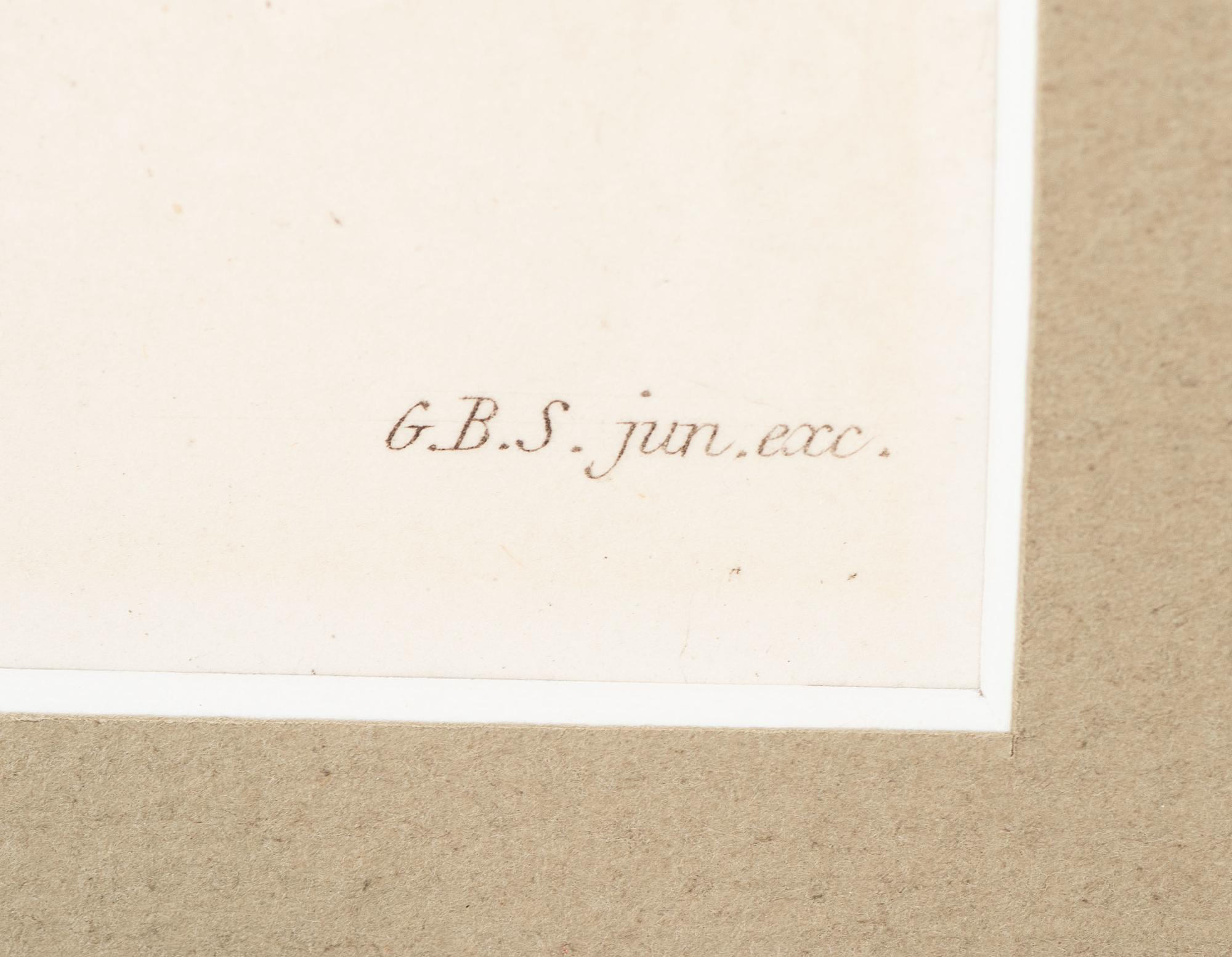 Thirteen Hand-Colored Shell Engravings