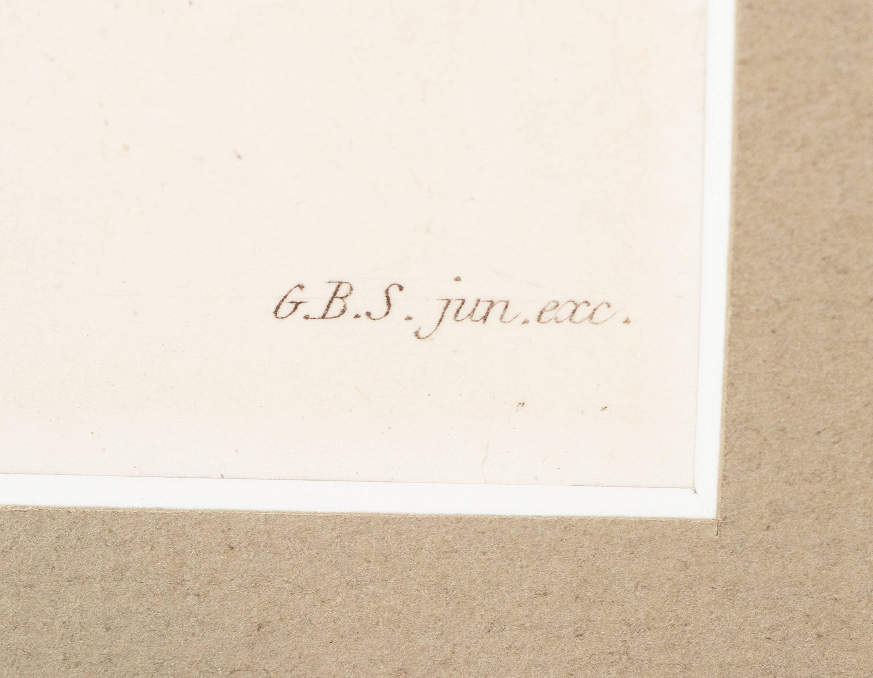 Thirteen Hand-Colored Shell Engravings