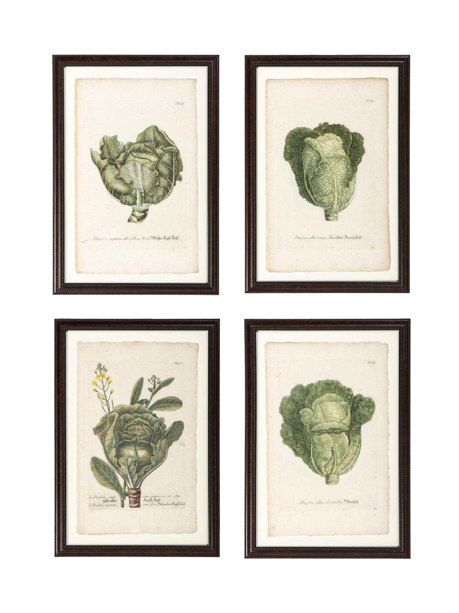 Nine Vegetable Aquatints