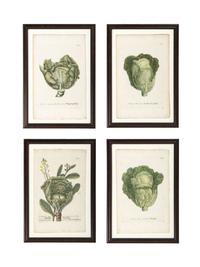 Nine Vegetable Aquatints
