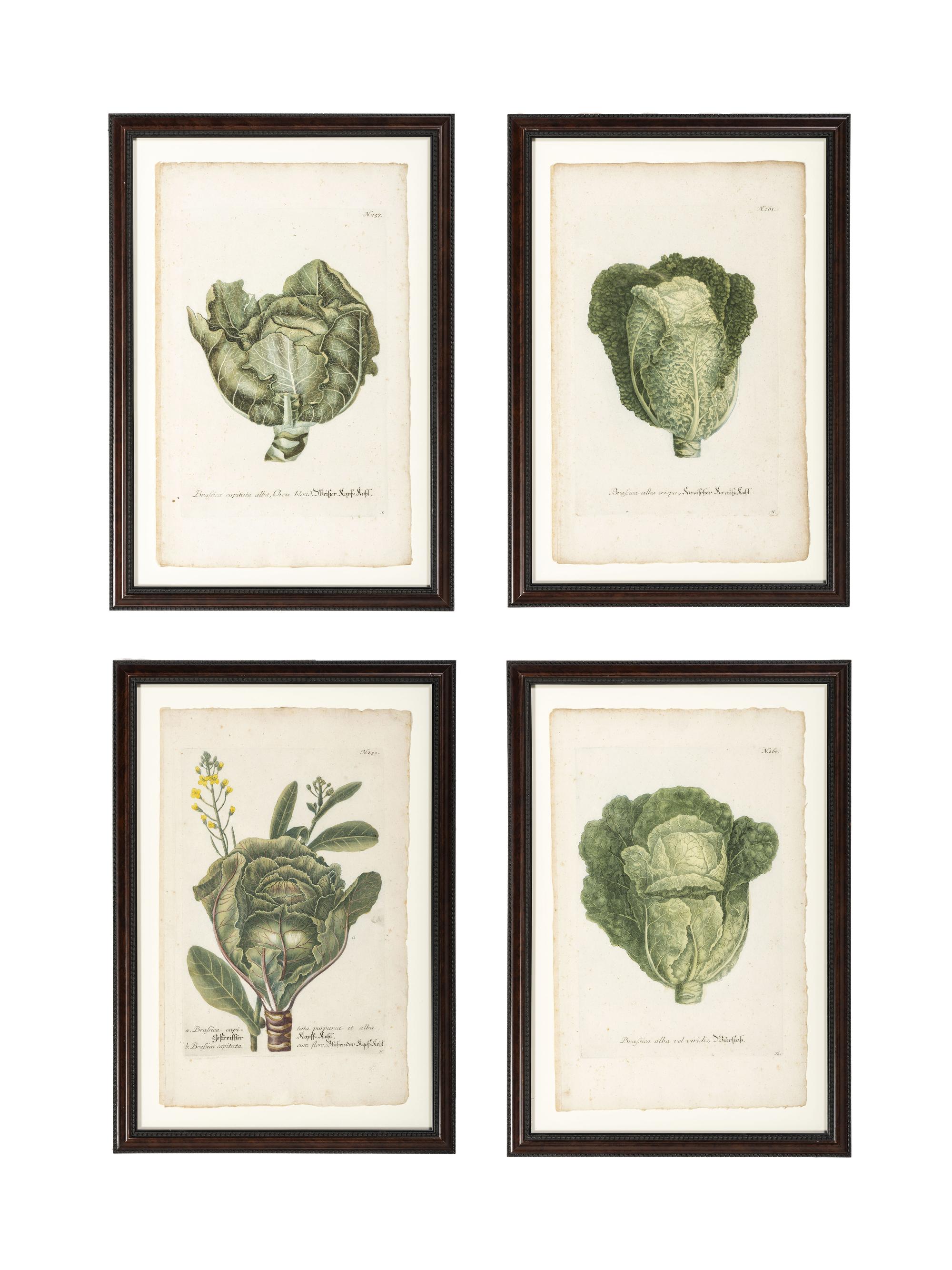 Nine Vegetable Aquatints