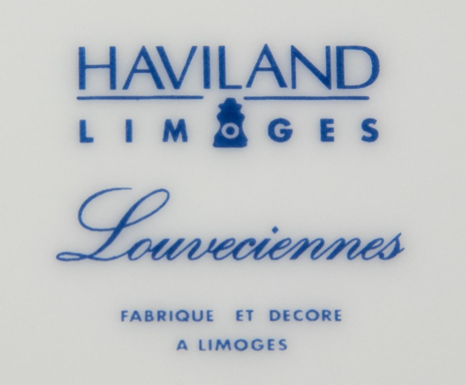 A Set of Sixteen Haviland Limoges Porcelain Plates