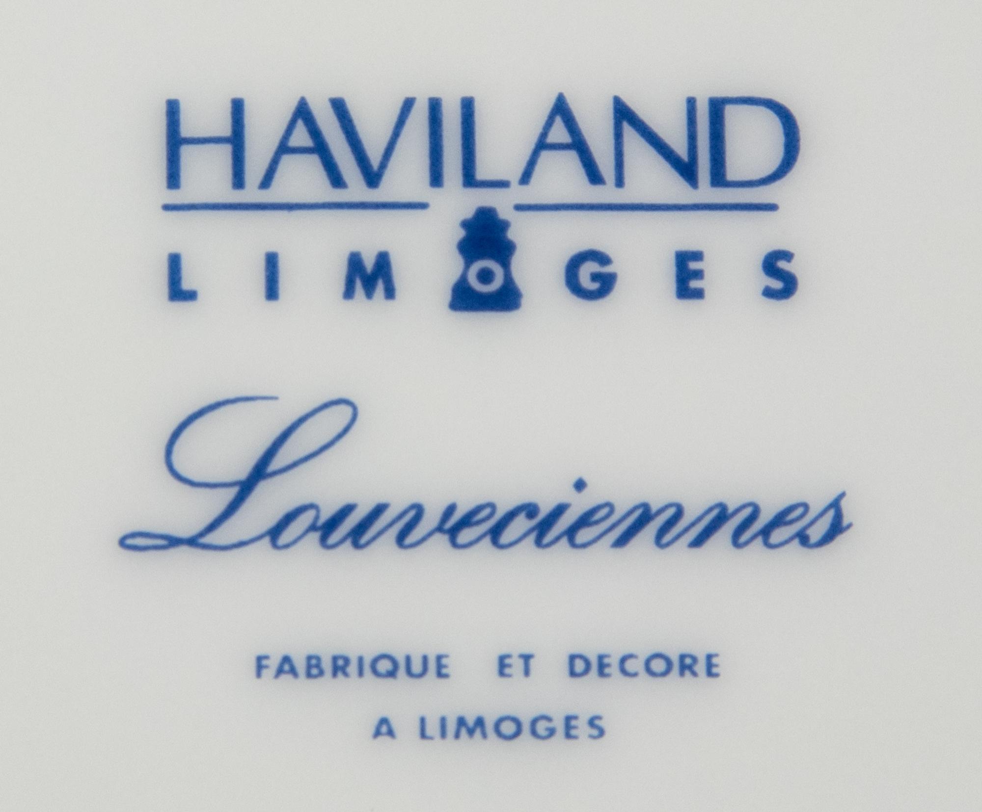A Set of Sixteen Haviland Limoges Porcelain Plates