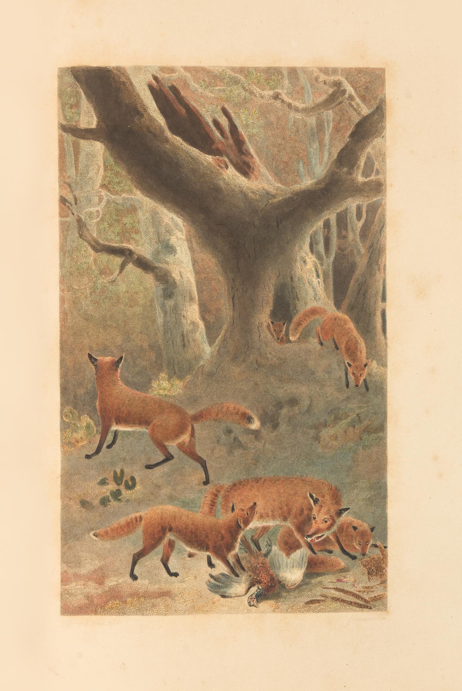 DANIEL, William Barker (1753?-1833)