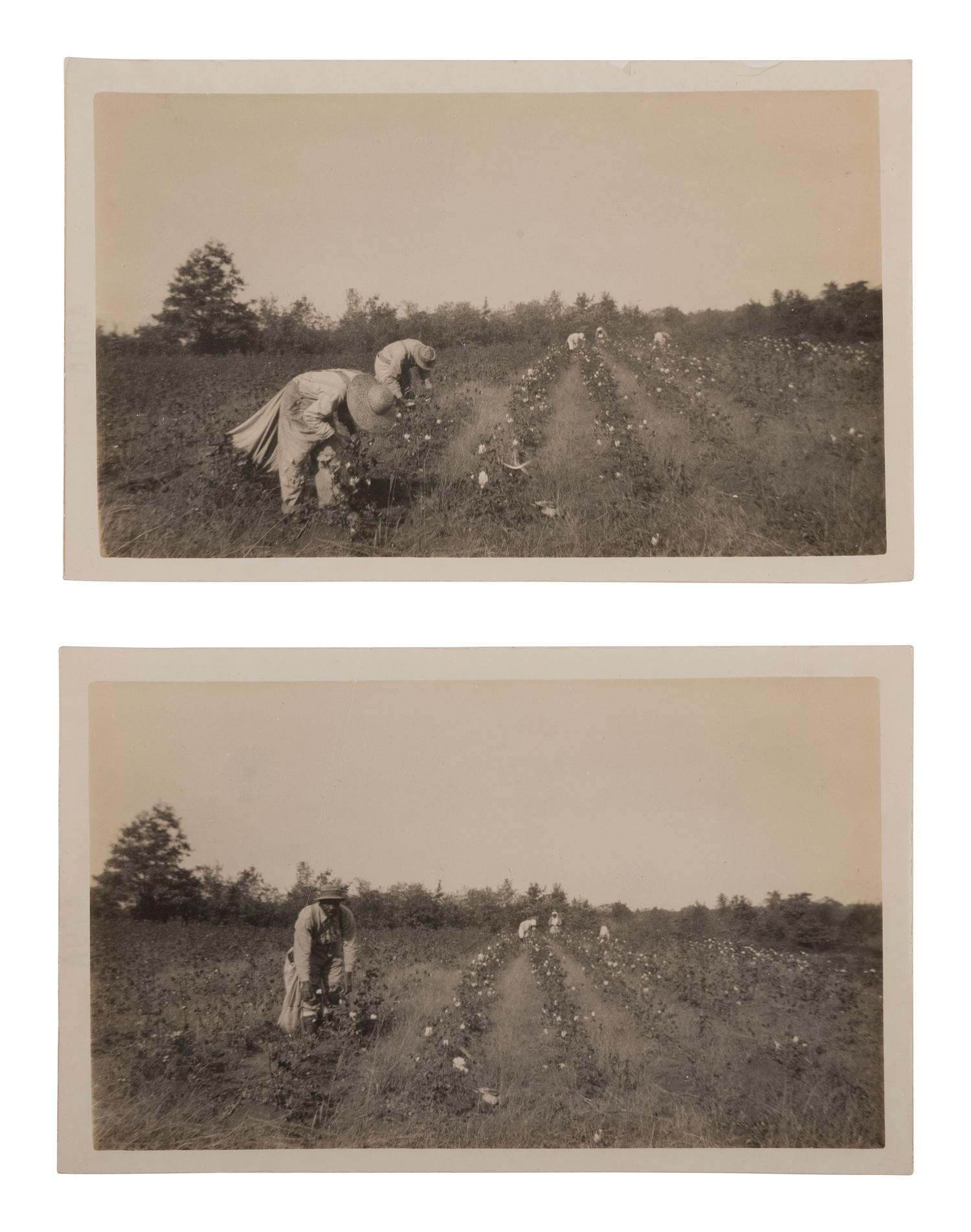 [EARLY PHOTOGRAPHY] 22 photographs of African American life, incl. occupational and domestic scenes.