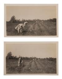 [EARLY PHOTOGRAPHY] 22 photographs of African American life, incl. occupational and domestic scenes.