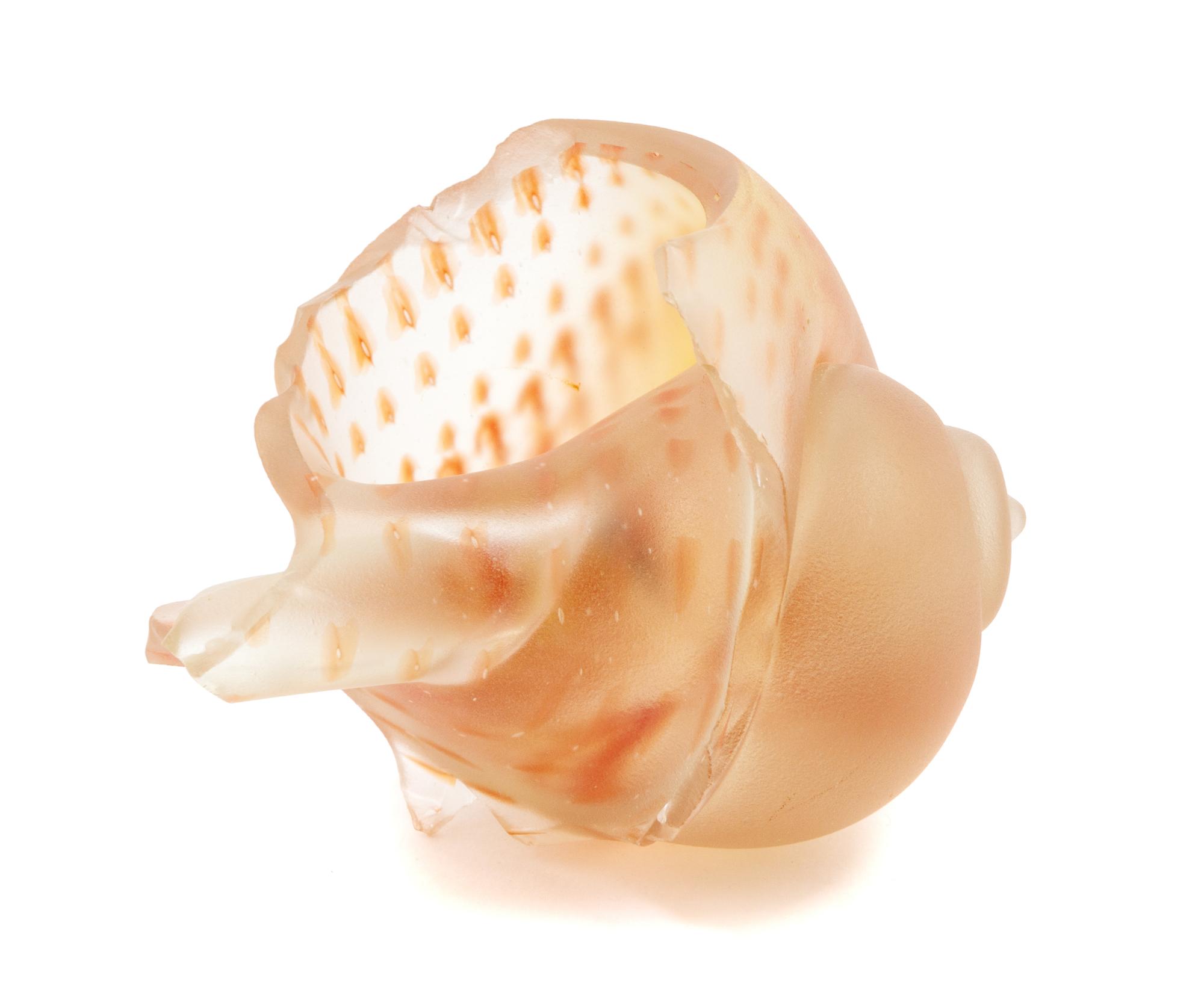 Eric Hopkins, (American, b. 1951), Untitled Shell Form, 1979