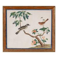 A Set of Four Chinese Watercolor Paintings