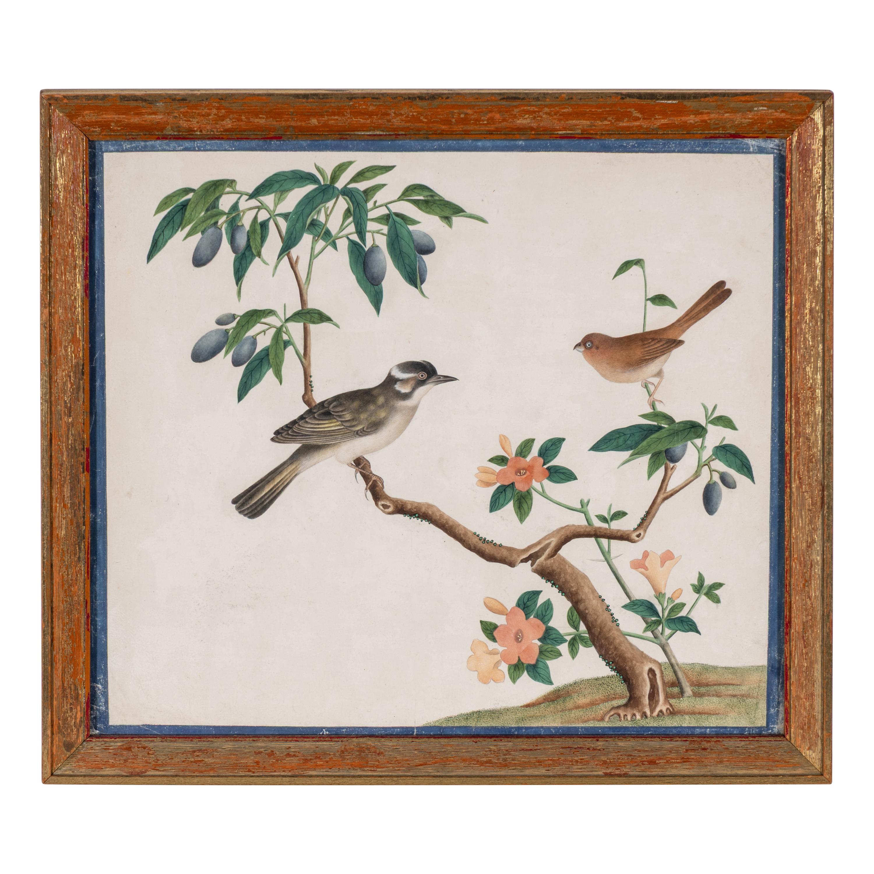 A Set of Four Chinese Watercolor Paintings