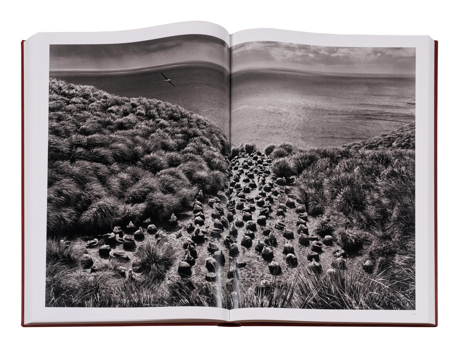 Genesis: Art Edition, Taschen, Paris 2013 (SUMO in two volumes together with booklet, varnished cherry wood lectern designed by Tadao Ando, and signed gelatin silver print Two Mursi Women, Omo Valley, Ethiopia )